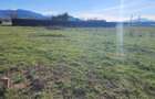 Teren superb de 533mp construibil zona perfecta Brasov