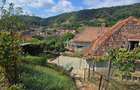 Casă de vânzare în exclusivitate, str. Română nr. 45, Sighisoara