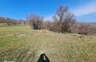 5 - 10 ari Teren pt cabana , picnic , relaxare , liniste , natura . - 3