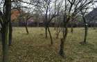 TEREN in Cornu de jos. - 8