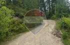 Teren 2,42 ha in Poiana Horea | Cadru montan | Potential turistic