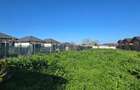 Exclusivitate-Vadu, zona centrala, casa 75mp, teren 1917 mp/31ml deschidere - 29