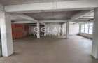 Spatiu Comercial 305 mp+ gradina 178mp, Bieltz/Turnisor - 4