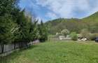 Vanzare teren LEPSA jud Vrancea - 3