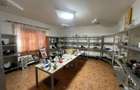 Casa de vanzare + hala metalica Blajenii de Jos, pozi? - Bistrita (Bistrita-Nasaud) - 18