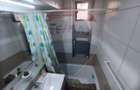 Apartament cu 2 camere de inchiriat in zona Malul Muresului - 17
