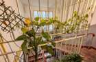 Apartament 3 camere renovat, zona BT Brancusi ! - 13