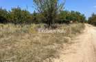 Teren intravilan 5744 mp Mosoaia-Prunilor