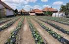 Casa de vanzare in Ungaria - Micherechi (Mehkerek) comunitate romana