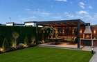 Casa P+1 cu Curte Proprie 321 , Berceni/Vidra - 12