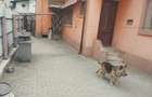 Vind casa in Ploiesti - 3