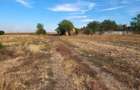 Vand teren intravilan 2000 mp, localitate Vartop, oras Corabia, jud. Olt. Extras CF la zi.CF