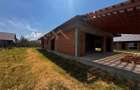 Casa la rosu, Satu Nou de Sus, 630 mp teren - 7
