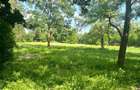 Teren extravilan, 10000 mp, Vicovu de Sus - 5