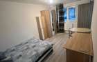 Inchiriez apartament cu o camera zona Freidorf, Timi?oara - 2