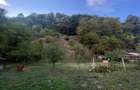 Casa de vanzare si anexa, teren 2287 mp