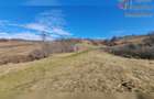 Teren de exceptie 3,1 ha intravilan | Panorama, utilitati, acces dublu | Sardu - 2