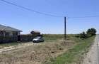 Teren intravilan de 400 mp in Peciu Nou - 4