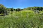 Casa la rosu + 19 ari teren Herina (la doar 15 km de Bistrita) - 9