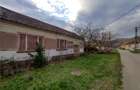 Bogodint, Casa cu 4 Hectare Teren, Pret Negociabil - 13