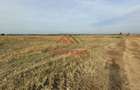 Teren intravilan in Baicoi zona targului--10.000mp--5e - 8