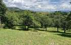 Vand casa plus gradina 68 ari - 4