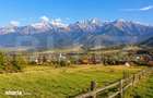 Teren 5.900 mp, Cartisoara Baza de Pornire pentru Proiect Turistic - 1