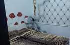 Vand apartament apahida - 6