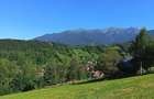 Teren de 8000 mp, în Bran - 6