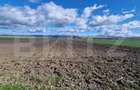Teren Extravilan 15000 mp- parcelat in 3 loturi Bod- 5000 mp fiecare p - 5