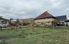 casa de vanzare Pestis judetul Bihor