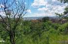 Teren intravilan de 2108 mp, cu casa, zona excelenta, Dambul Rotund - 1
