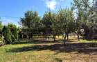 Teren intravilan 1.200+ mp | Livada & Acces privat 7m | Salcioara - Jurilovca - 3