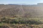 TEREN INTRAVILAN - ZONA INDUSTRIALA VEST-9000 mp, sau 18000 mp - 6