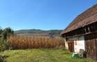 Casa de vanzare, loc. Domnesti la sosea, suprafata casa, anexe si curte 1000 mp, 1546 mp gradina