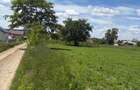 Teren intravilan in Mitoca?i 48000 euro - 5