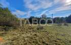 Teren intravilan zona Sambata de Sus 1596 mp de vanzare EXCLUSIVITATE - 2