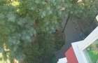 67000 euro -2camere - luica -brancoveanu -bloc reabilitat - 4