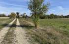 Teren Intravilan com. Ratesti - 1