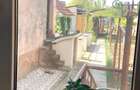 Casa solida, evreiasca , Sacuieni, gradina mare - 4