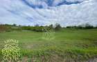 Teren 5000 mp-ideal investitie-Ghinda - 6