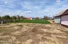 Teren intravilan cu proiect de casa de vanzare in Tarian - Bihor - 2