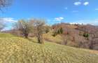 Refugiu de poveste în inima naturii | 12.000 mp în Holbav | Proiect început - 16