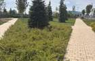 3 camere premium cu vedere spre parc | complex privat - 6
