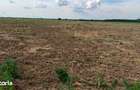 Teren intravilan de vanzare | Peris | 10.000 mp | Investitie sigura - 8