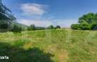 Casa + teren intravil, 3.6 ha I Zagon I Potential turistic si investit - 2