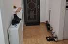 Apartament 3 camere, 2 bai, zona Iulius Mall - 16