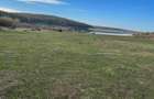 Vand teren lac /baraj Ianova (Remetea Mare) - 4