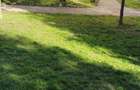 ap. 3 cam MVI str. Gladiolei 6 et 4 , 2 bai , 850 Eu/ mp - 13