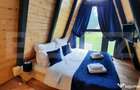 Oportunitate-cabana de vanzare, 4 camere, 75 mp, 34,5 ari te - 11